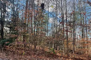 Lot 8 Hickory Ridge Rd, Wilkesboro, NC 28697 - Photo 1