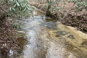 3014 Center Church Rd, Thurmond, NC 28683 - Photo 37