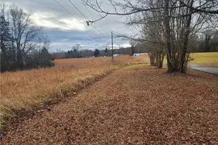 2060 Coltrane Mill Rd, Randleman, NC 27317 - Photo 35