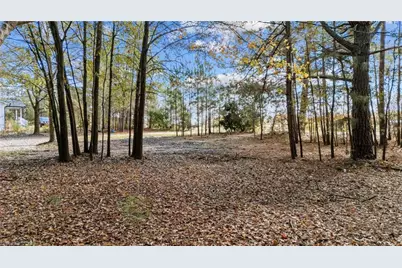 2627 McCallum Road, Candor, NC 27229 - Photo 3