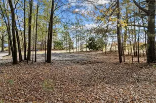 2627 McCallum Rd, Candor, NC 27229 - Photo 3