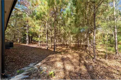 2627 McCallum Road, Candor, NC 27229 - Photo 37