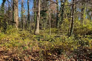 705 S Fifth St, Mebane, NC 27302 - Photo 25