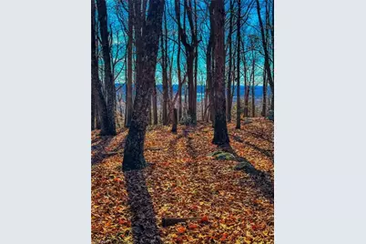 1644 Sierra Trace Road, Denton, NC 27239 - Photo 11