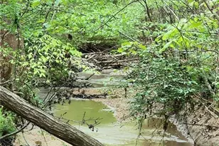 6779 Brookbank Rd, Summerfield, NC 27358 - Photo 33