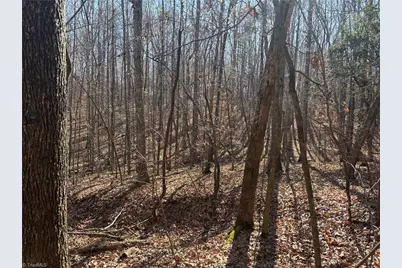 3131 Zz Huffine Mill Road, Gibsonville, NC 27249 - Photo 19