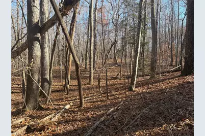 3131 Zz Huffine Mill Road, Gibsonville, NC 27249 - Photo 9