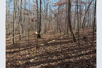 3131 Zz Huffine Mill Road, Gibsonville, NC 27249 - Photo 15