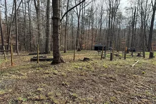 656 Hills Presbyterian Church Rd, Pilot Mountain, NC 27041 - Photo 37