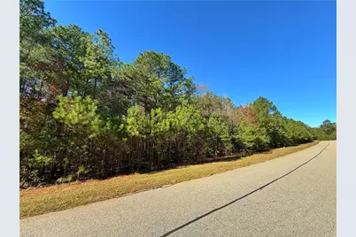 193 N State Lane, Rockingham, NC 28379 - Photo 9