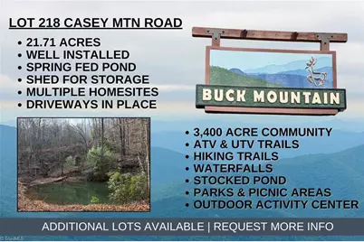 Lot 218 Casey Mountain Road, Purlear, NC 28665 - Photo 1