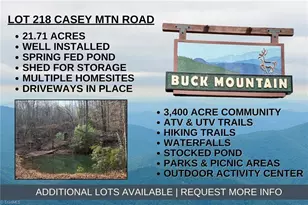 Lot 218 Casey Mountain Rd, Purlear, NC 28665 - Photo 1