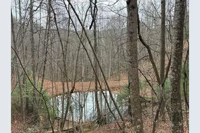 Lot 218 Casey Mountain Road, Purlear, NC 28665 - Photo 19