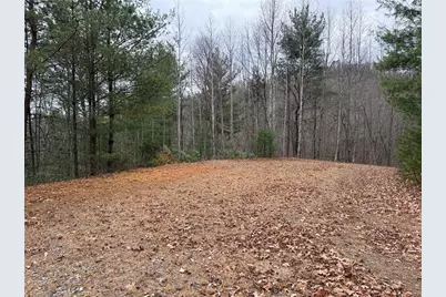 Lot 218 Casey Mountain Road, Purlear, NC 28665 - Photo 21