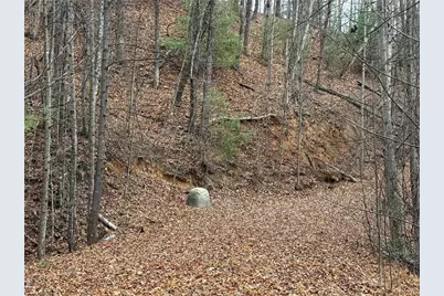Lot 218 Casey Mountain Road, Purlear, NC 28665 - Photo 7