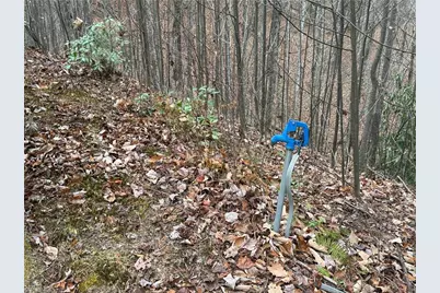Lot 218 Casey Mountain Road, Purlear, NC 28665 - Photo 11