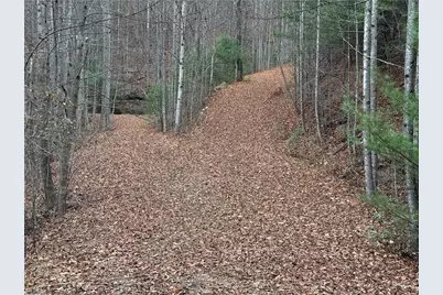 Lot 218 Casey Mountain Road, Purlear, NC 28665 - Photo 23