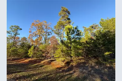 176 Lake View Pass, Rockingham, NC 28379 - Photo 11