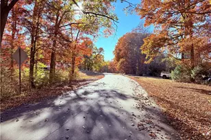 435 Overland Trail, Stoneville, NC 27048 - Photo 47