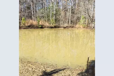 1141 Gant Road, Graham, NC 27253 - Photo 23