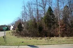 108 Elk River Ct, Mebane, NC 27302 - Photo 3