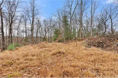 Tbd Cedar Trail, Mount Airy, NC 27030 - Photo 11