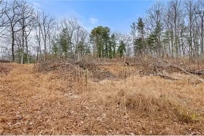 Tbd Cedar Trail, Mount Airy, NC 27030 - Photo 5