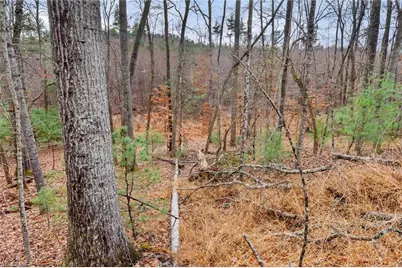 Tbd Cedar Trail, Mount Airy, NC 27030 - Photo 13