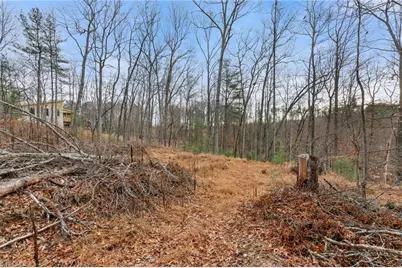 Tbd Cedar Trail, Mount Airy, NC 27030 - Photo 15