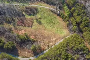 1566 Thore Rd, Pinnacle, NC 27043 - Photo 47