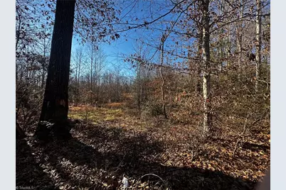 Tbd S Nc Highway 16, Wilkesboro, NC 28697 - Photo 5