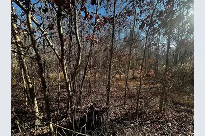 Tbd S Nc Highway 16, Wilkesboro, NC 28697 - Photo 3