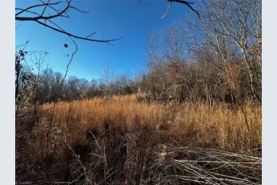 Tbd S Nc Highway 16, Wilkesboro, NC 28697 - Photo 1