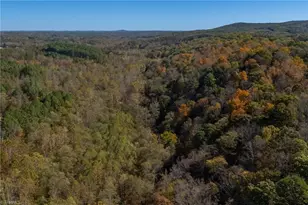 3364 Nc Hwy 66 N, Westfield, NC 27053 - Photo 9