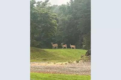 0 Sunset Ridge Road, Westfield, NC 27053 - Photo 9