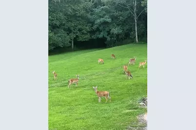 0 Sunset Ridge Road, Westfield, NC 27053 - Photo 11