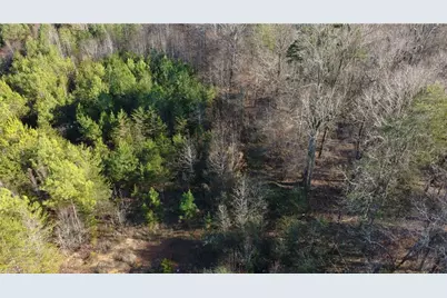 0000 Mulberry Academy Street, Franklinville, NC 27248 - Photo 3