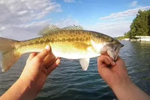 462 Flat Swamp Lake Rd, Denton, NC 27239 - Photo 19