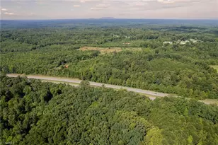 0 Hwy 220, Stoneville, NC 27048 - Photo 1