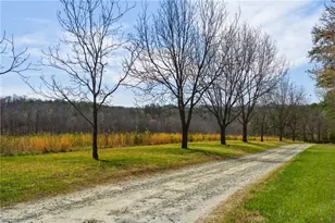 900 Warren Farm Rd, Walnut Cove, NC 27052 - Photo 43