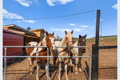 3158 Cane Mill Road, Asheboro, NC 27205 - Photo 43