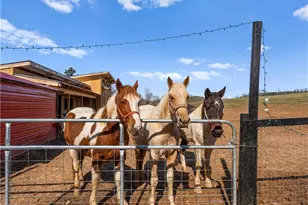 3158 Cane Mill Rd, Asheboro, NC 27205 - Photo 43