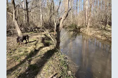 4794 Troy Smith Road, Liberty, NC 27298 - Photo 47