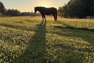 4794 Troy Smith Rd, Liberty, NC 27298 - Photo 39