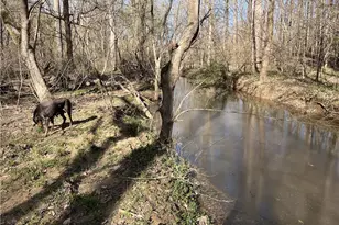 4794 Troy Smith Rd, Liberty, NC 27298 - Photo 47