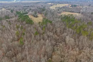 4794 Troy Smith Rd, Liberty, NC 27298 - Photo 43