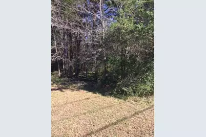 0 Gant Road, Graham, NC 27253 - Photo 1