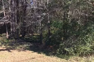 0 Gant Rd, Graham, NC 27253 - Photo 1