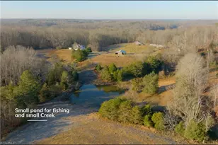 588 Roby Fulk Rd, Pinnacle, NC 27043 - Photo 37