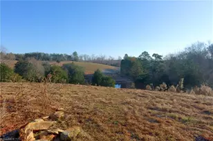 588 Roby Fulk Rd, Pinnacle, NC 27043 - Photo 43